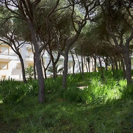 Seaside Serenity Beachside Albufeira