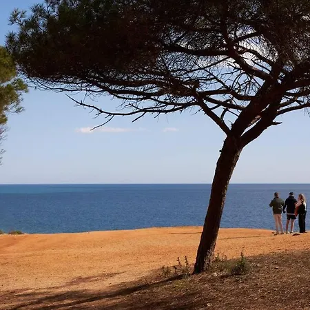 Apartamento Seaside Serenity Beachside